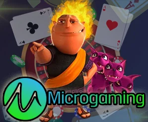 micro img